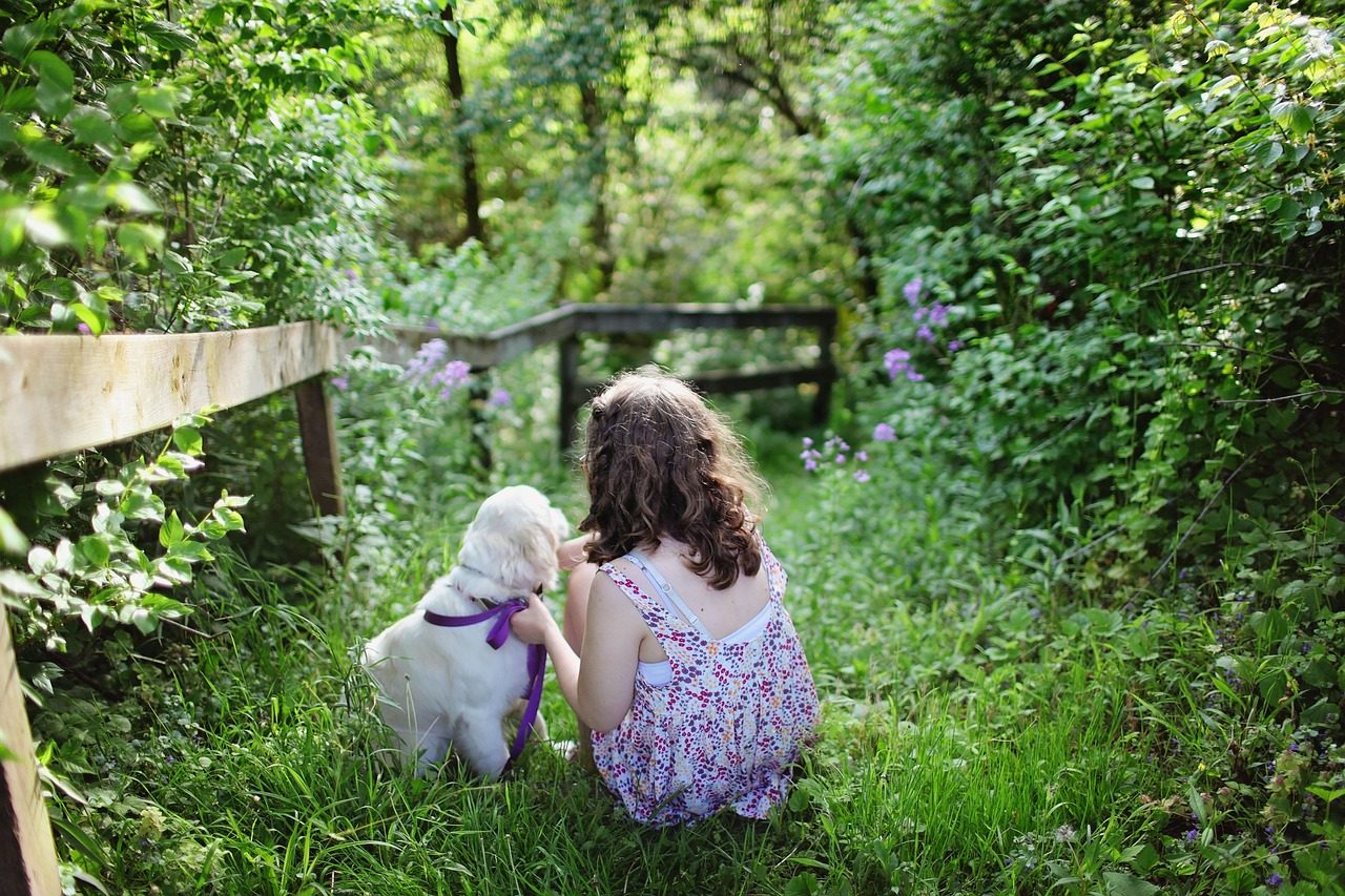 Person sitting on a grassy garden path beside a white dog (sample photo)